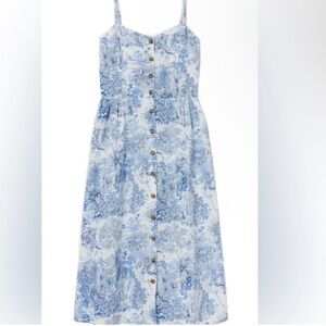 H&M Blue and White Toile Dress